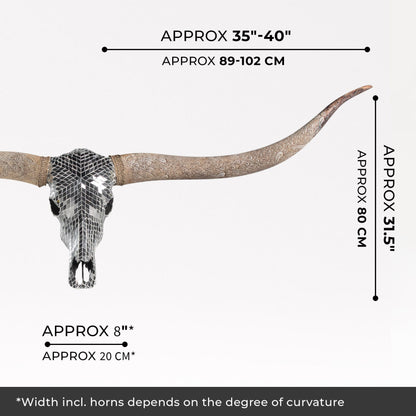 Longhorn Skull // XL Horns -  Mirror // Mosaic Finish