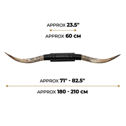 Black Leather Mount // Standard Longhorns - Big Gun