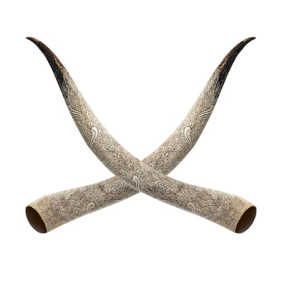 Hand Carved Longhorn Skull // XL Horns - White Boho